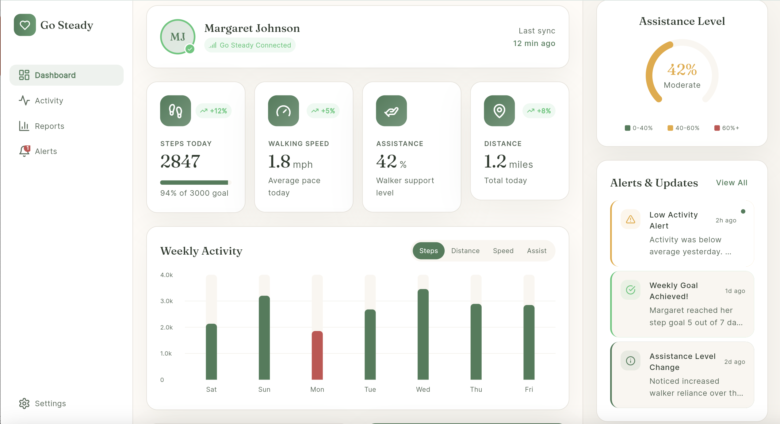 Go Steady web dashboard showing activity metrics, weekly charts, and alerts